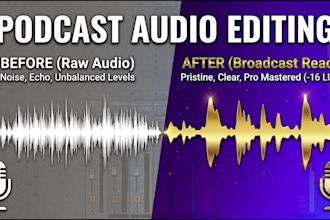 professionally clean, edit, and mix your podcast audio