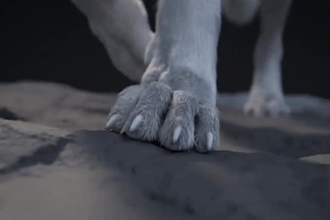 do cgi 3d animal animation, 3d animal, 3d animal model, 3d animal rigging, vfx