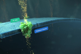 create realistic 3d medical animation, 3d pharmaceutical moa medical animation