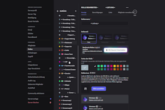 create a professionell custom discord server
