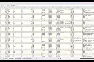 be your excel expert for data cleanup, formatting and sorting