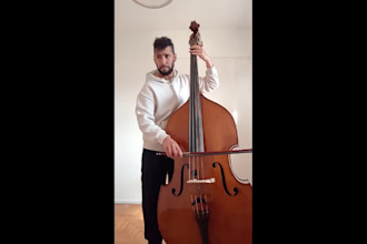 record a professional double bass part with fast delivery for any project
