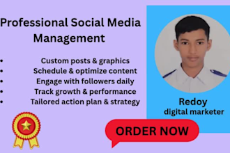 facebook and instagram ads management to maximize ROI
