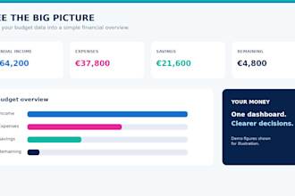 sell you a professional personal budget excel spreadsheet and dashboard