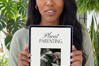 get your beginners guide to indoor plant care and become a plant parent