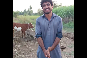 wish african happy birthday video while cow milking style