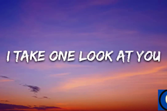 create an animated lyric music video for your song in 24 hr