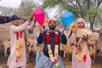 do happy birthday video or happy birthday happy birthday video