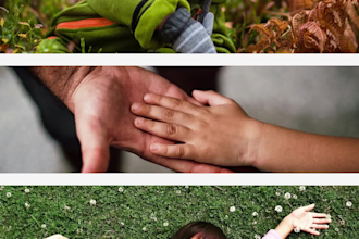 create a professional birthday slideshow video