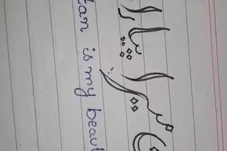 do neat handwritten assignments and notes