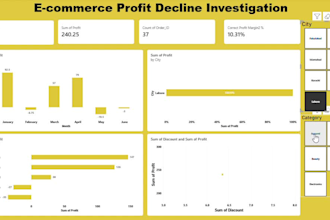 build a professional power bi dashboard and report