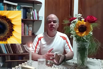 a tarot reader via zoom only spanish language