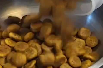 do dog ugc photos and german videos