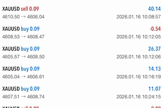 setup ai forex trading bot, hand free ea bot, scalping ea, scalper bot xauusd ea