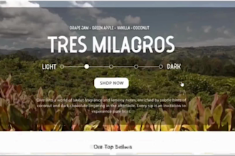 design an eye catching shopify website, and a drop shipping website