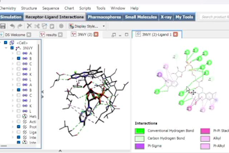 perform molecular docking and virtual screening