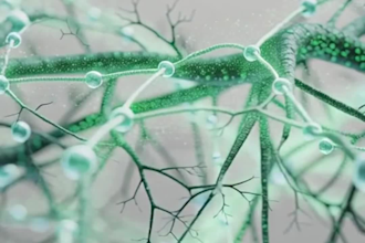 create professional ai product animations and commercial ads