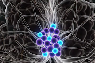 do ai medical animation, 3d medical explainer and healthcare video veo 3 runway