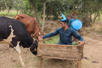 wish african happy birthday video or happy birthday video