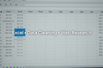 offer professional data entry