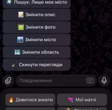bot developer creater bot