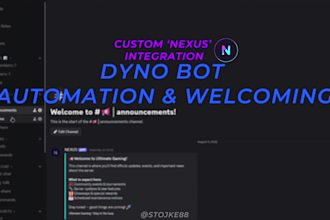 setup a professional discord server with bots and roles