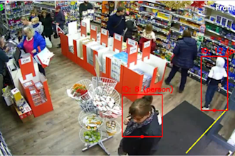 provide cctv monitoring services
