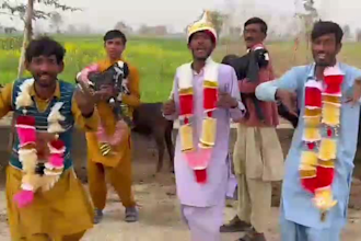 happy birthday video or african video