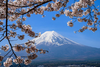 create a personalized yokohama and kamakura travel itinerary