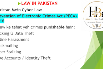 provide expert pakistani legal consultation and case solving