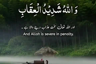 professional online quran teacher,