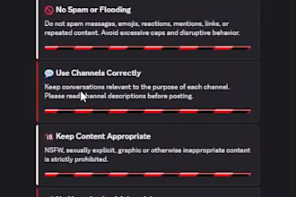 professionally setup discord community server in 24 hours