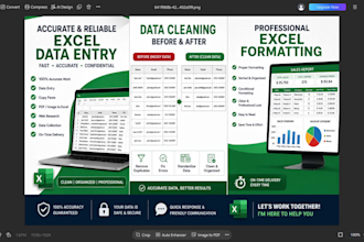 expert excel data entry and spreadsheet formatting