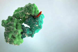 do 3d medical device animation pharmaceutical drug and mechanism of action video