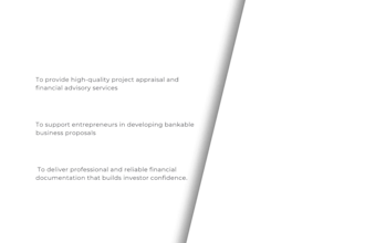 provide expert financial analysis, business plans, and investment appraisals