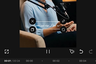 add professional english and urdu subtitles to your videos