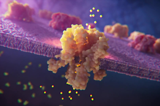 create 3d medical animation moa pharma biotech molecular explainer video