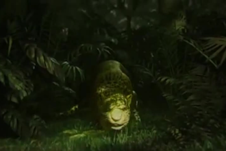 create 3d fern style documentary videos