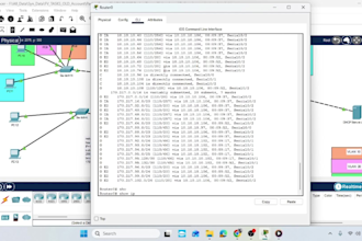 cisco ccna, packet tracer, labs, project, assignments