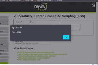 perform a cybersecurity scan, penetration test, and full security audit