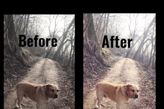 professionally edit videos and create before and after transformations