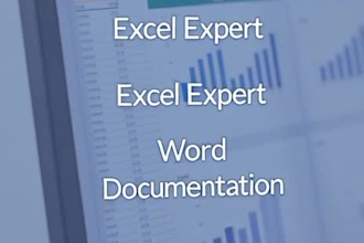 do data entry in excel, google sheets, shopify, amazon and more