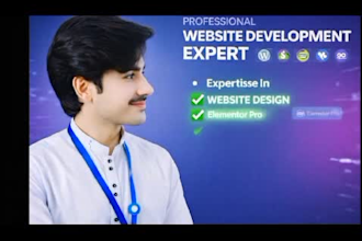 create professional business website or shopify store