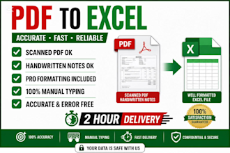 do pro PDF to excel data entry in 2 hours