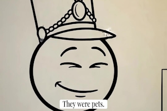 make stick figure animation with captions