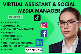 be your virtual assistant social media manager data entry admin support ghl