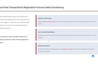 provide professional database administration, performance tuning