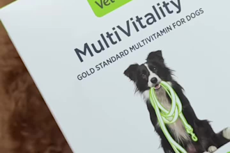 create engaging pet ugc videos, dog product ads for social media