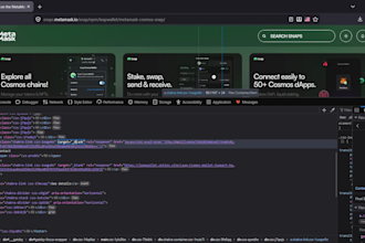 perform professional web app penetration testing and vapt