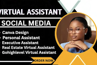 be executive personal gohighlevel va social media admin and cold calling